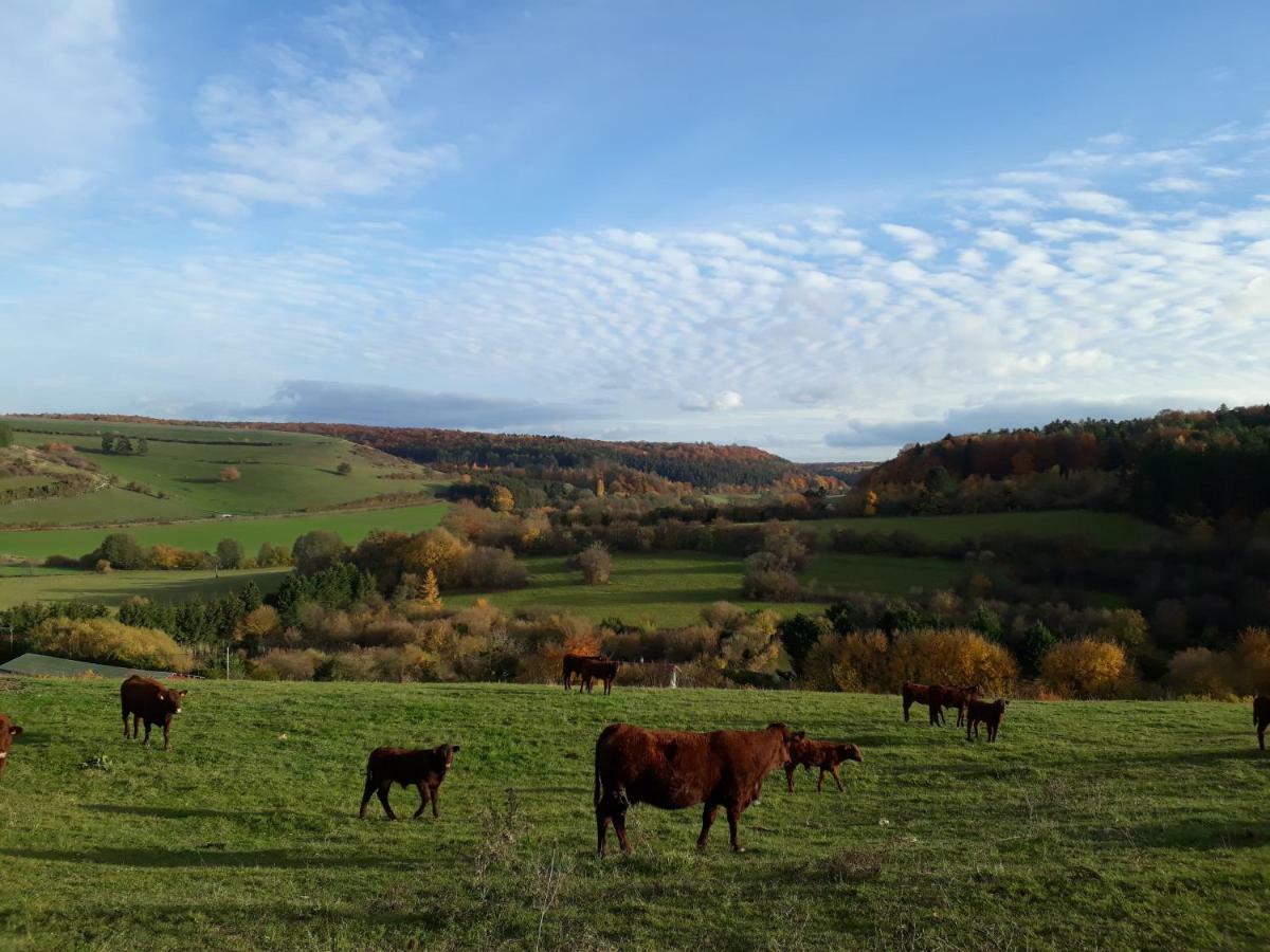 Gite Aux Lauriers Lacroix-sur-Meuse ภายนอก รูปภาพ
